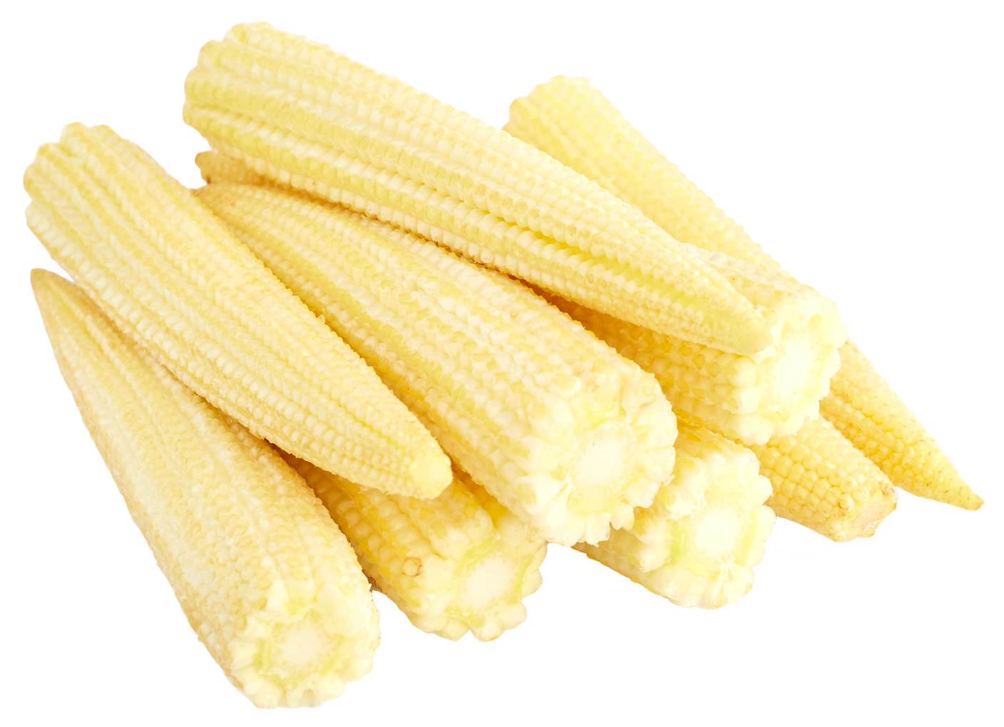 Baby Corn